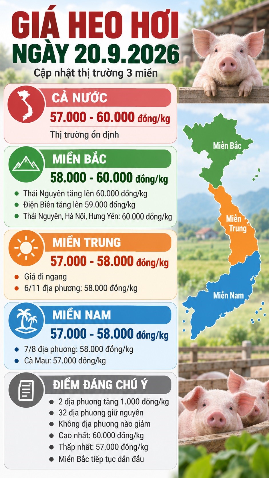 Giá heo hơi hôm nay 20.9.2026: Ba địa phương đạt mức 60.000 đồng/kg - ảnh 3