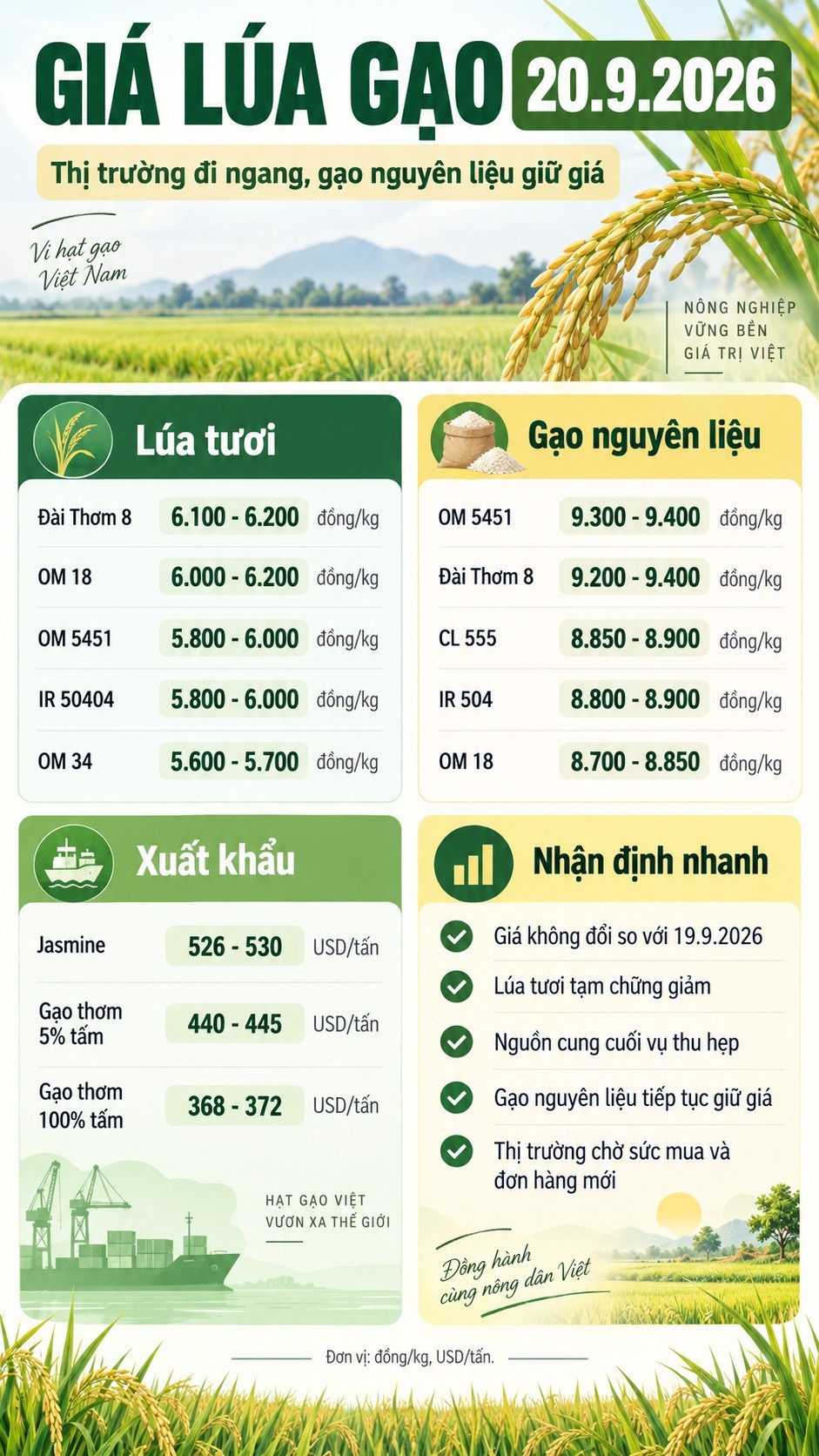 Giá lúa gạo hôm nay 20.9.2026: Lúa chững giảm, gạo nguyên liệu giữ giá - ảnh 3