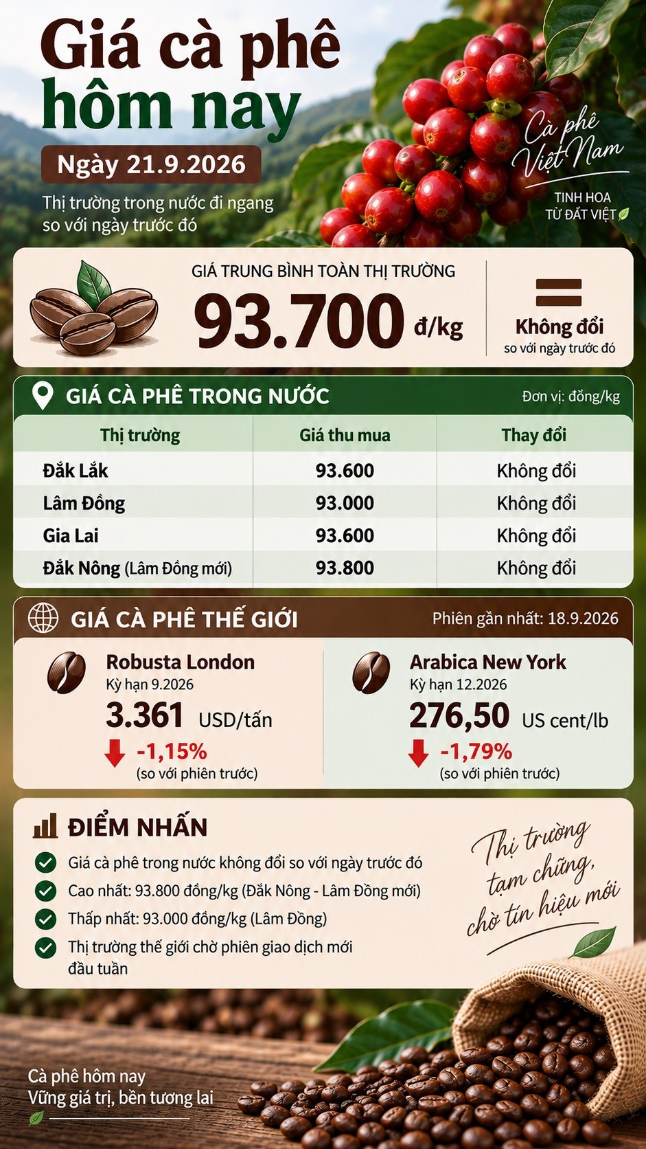 Giá cà phê hôm nay 21.9.2026 đi ngang, cao nhất 93.800 đồng/kg - ảnh 3