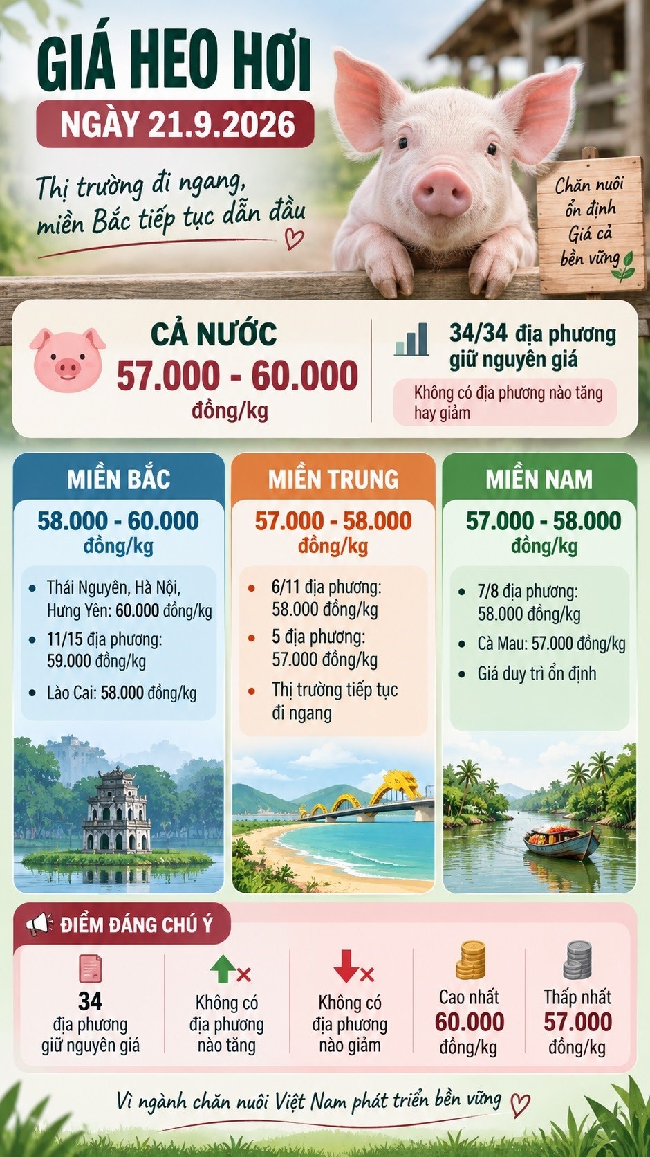 Giá heo hơi hôm nay 21.9.2026: Thị trường chưa có biến động mới - ảnh 3