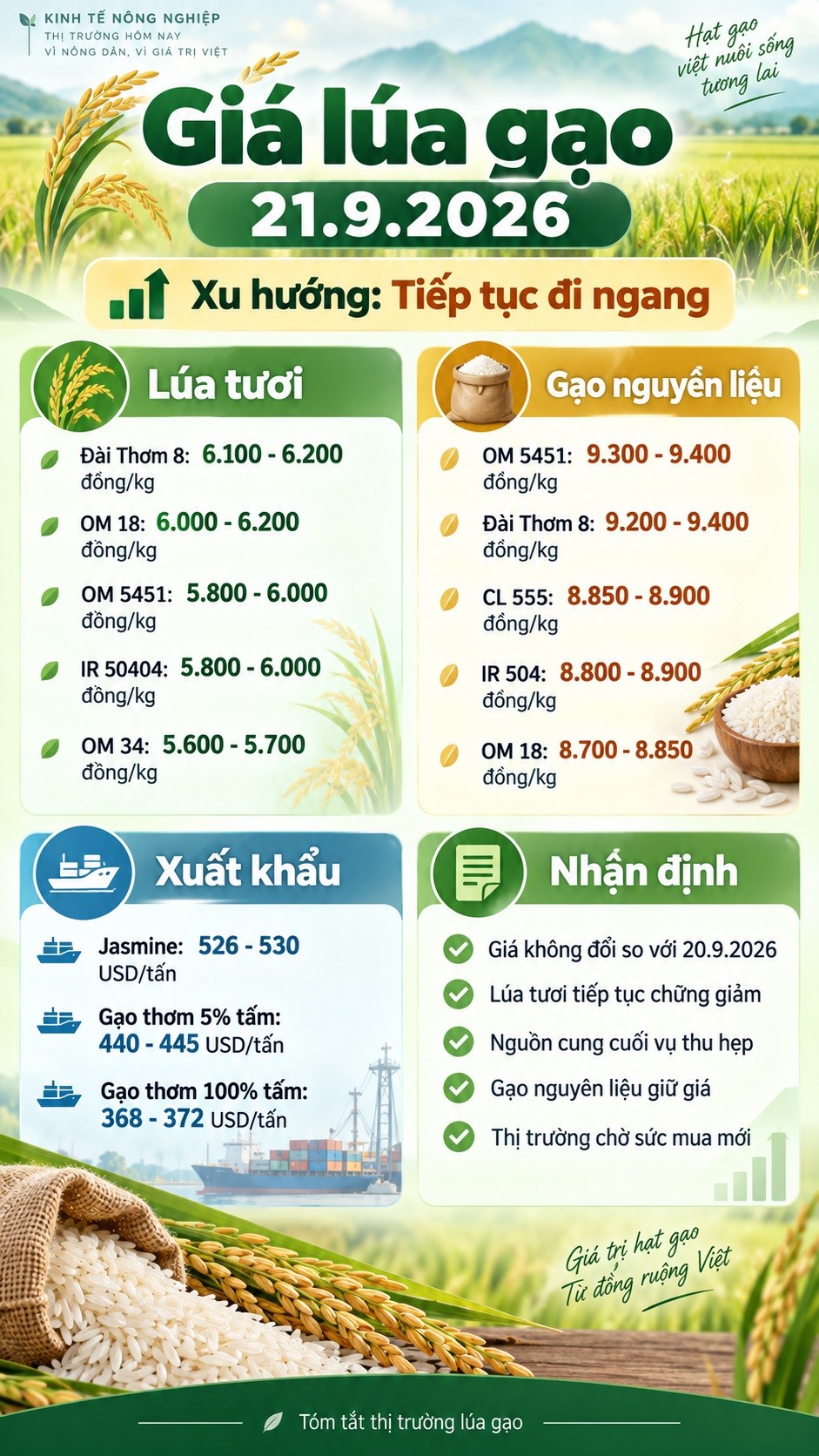 Giá lúa gạo hôm nay 21.9.2026: Thị trường tiếp tục đi ngang - ảnh 3