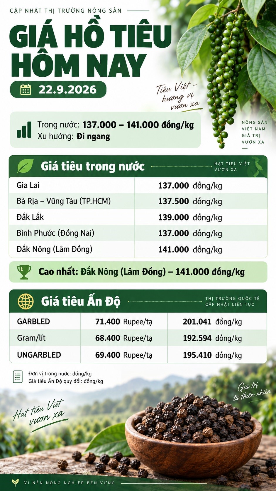 Giá hồ tiêu hôm nay 22.9.2026: Tây Nguyên và Đông Nam Bộ đồng loạt đứng giá - ảnh 3