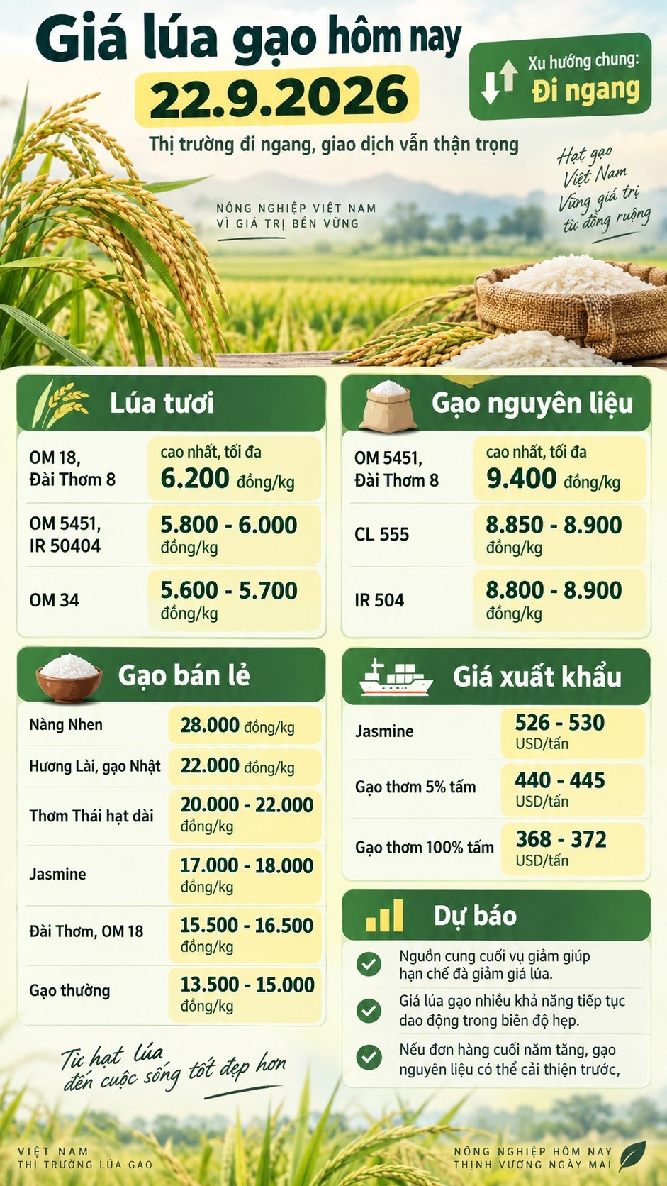 Giá lúa gạo hôm nay 22.9.2026: Gạo nguyên liệu tiếp tục giữ giá - ảnh 3