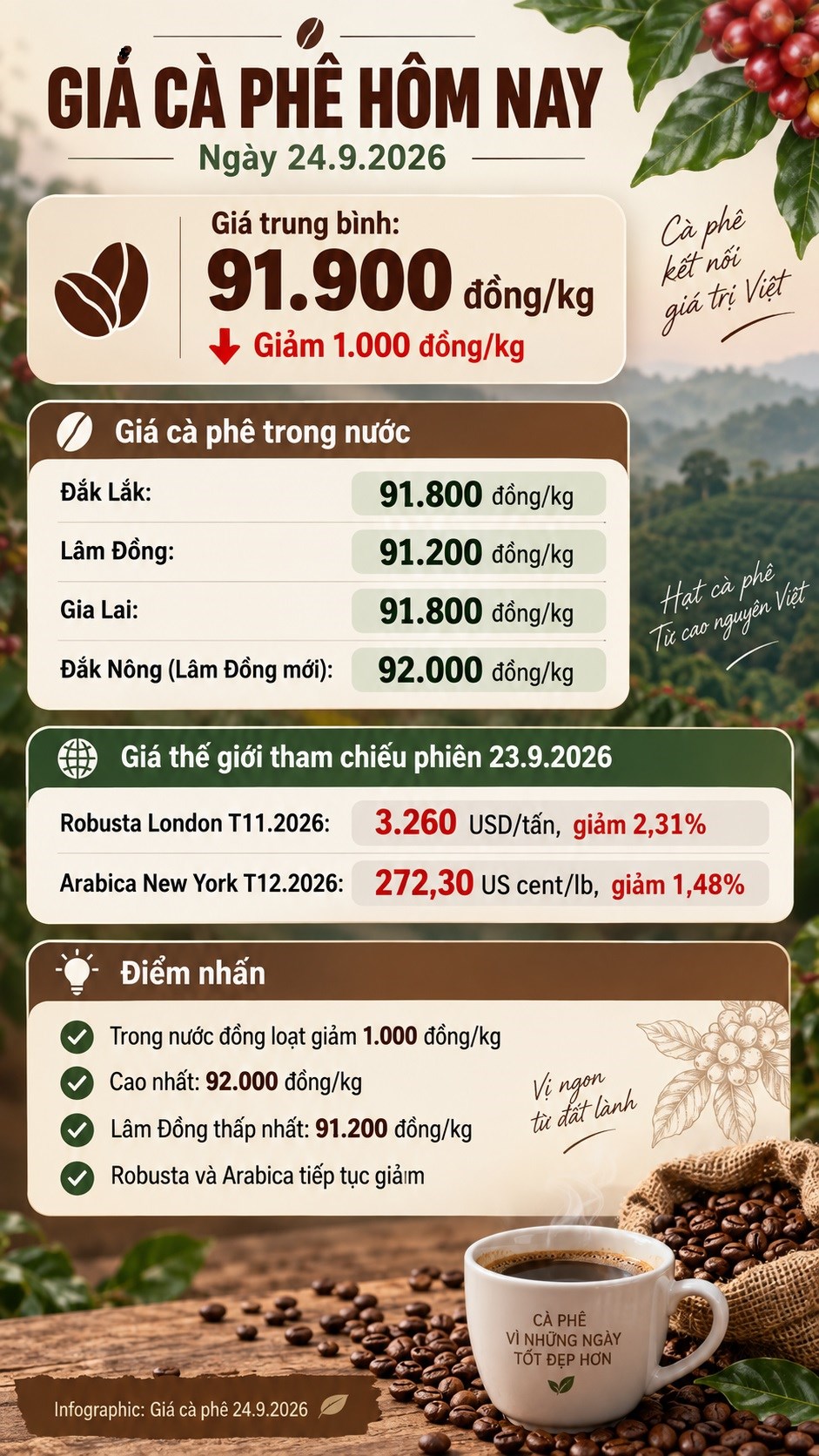 Giá cà phê hôm nay 24.9.2026 đồng loạt giảm 1.000 đồng/kg - ảnh 3