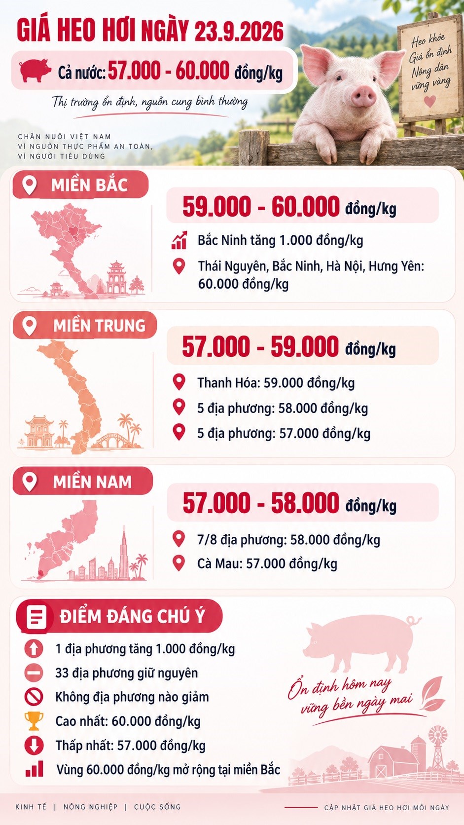 Giá heo hơi hôm nay 23.9.2026: Miền Bắc tiếp tục dẫn đầu - ảnh 3