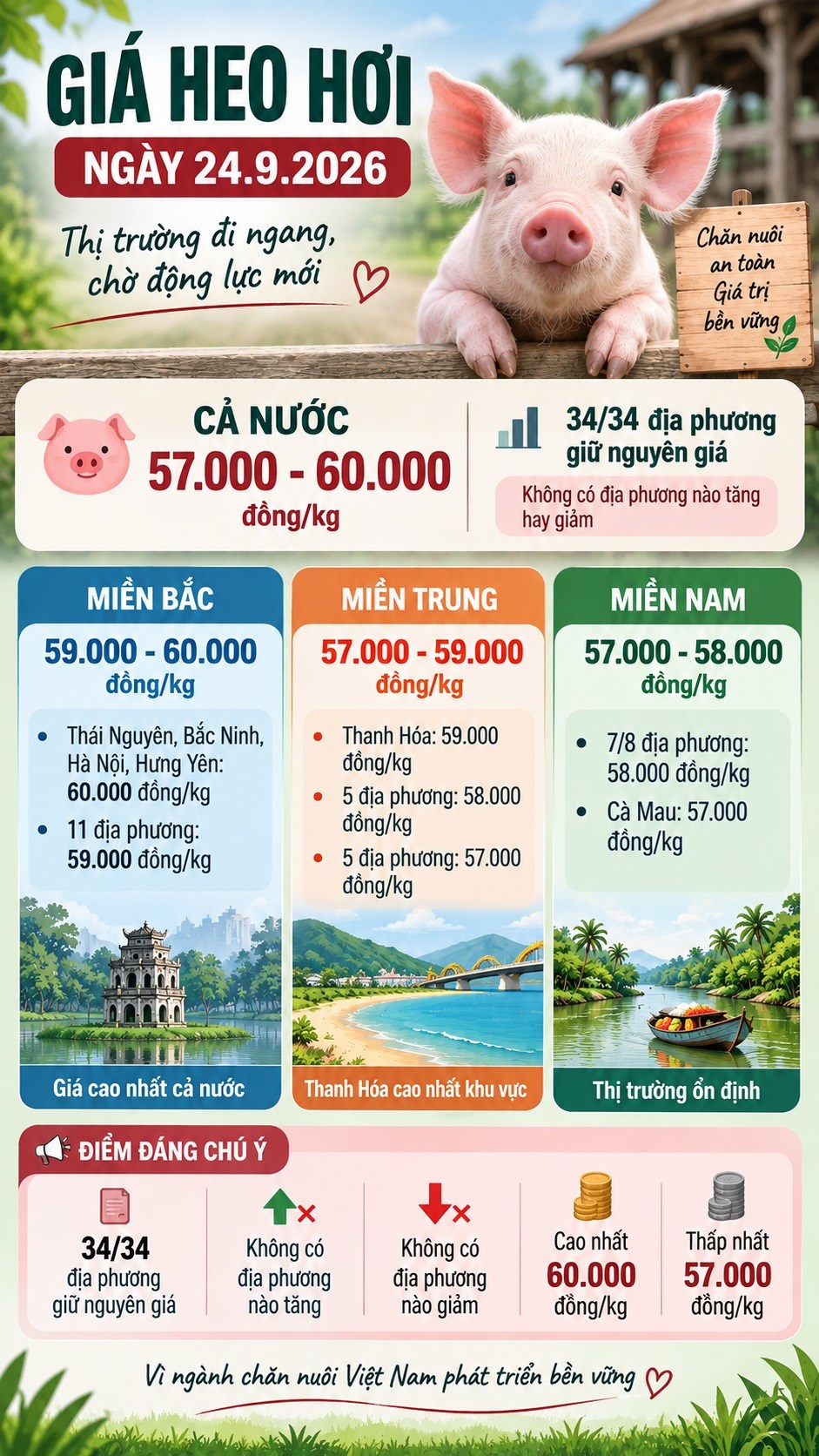 Giá heo hơi hôm nay 24.9.2026: Miền Bắc tiếp tục giữ giá cao nhất - ảnh 3