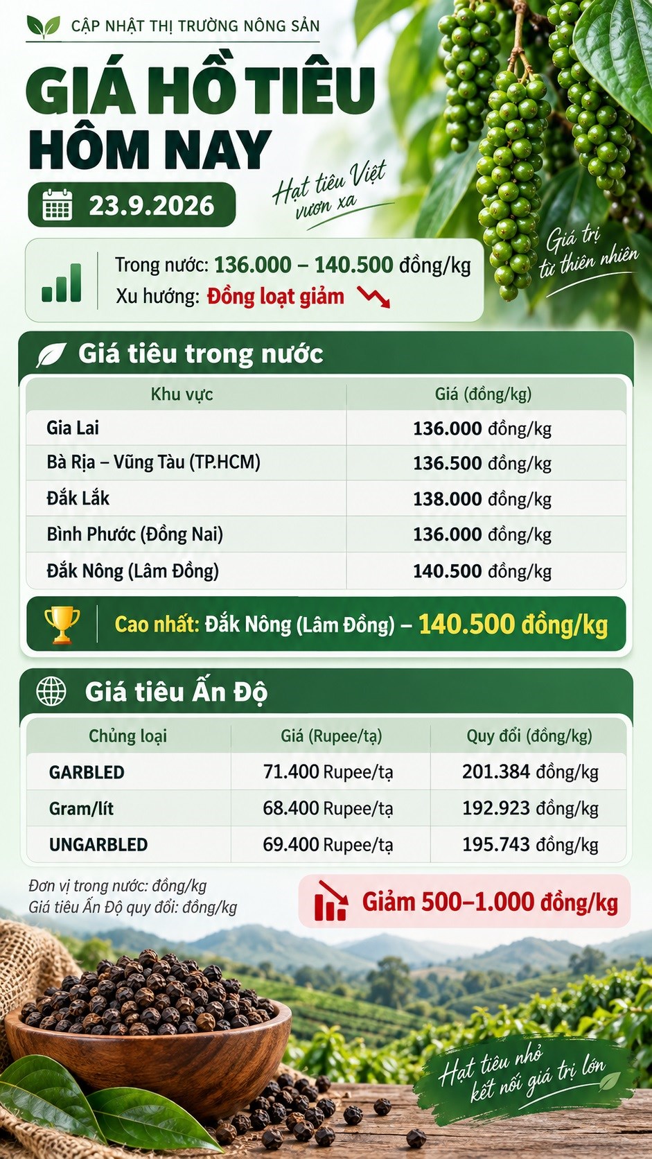 Giá hồ tiêu hôm nay 23.9: Giảm tới 1.000 đồng/kg tại nhiều vùng - ảnh 3