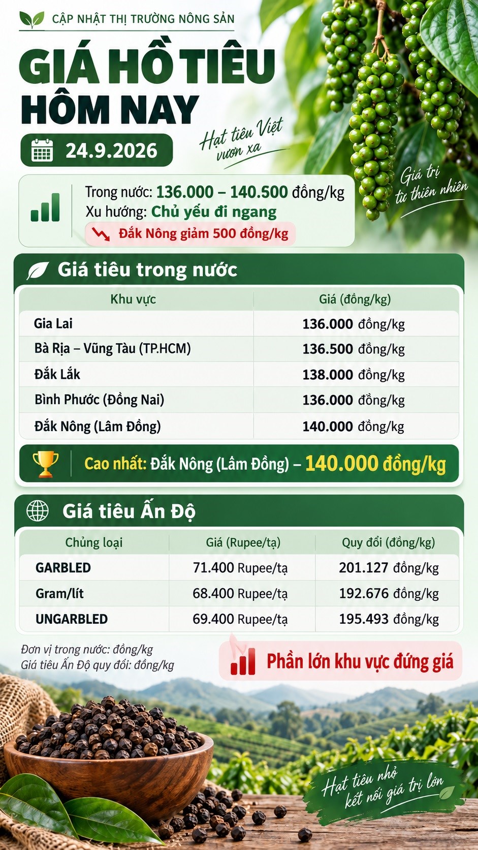 Giá tiêu hôm nay 24.9: Thị trường chững lại, cao nhất 140.000 đồng/kg - ảnh 3