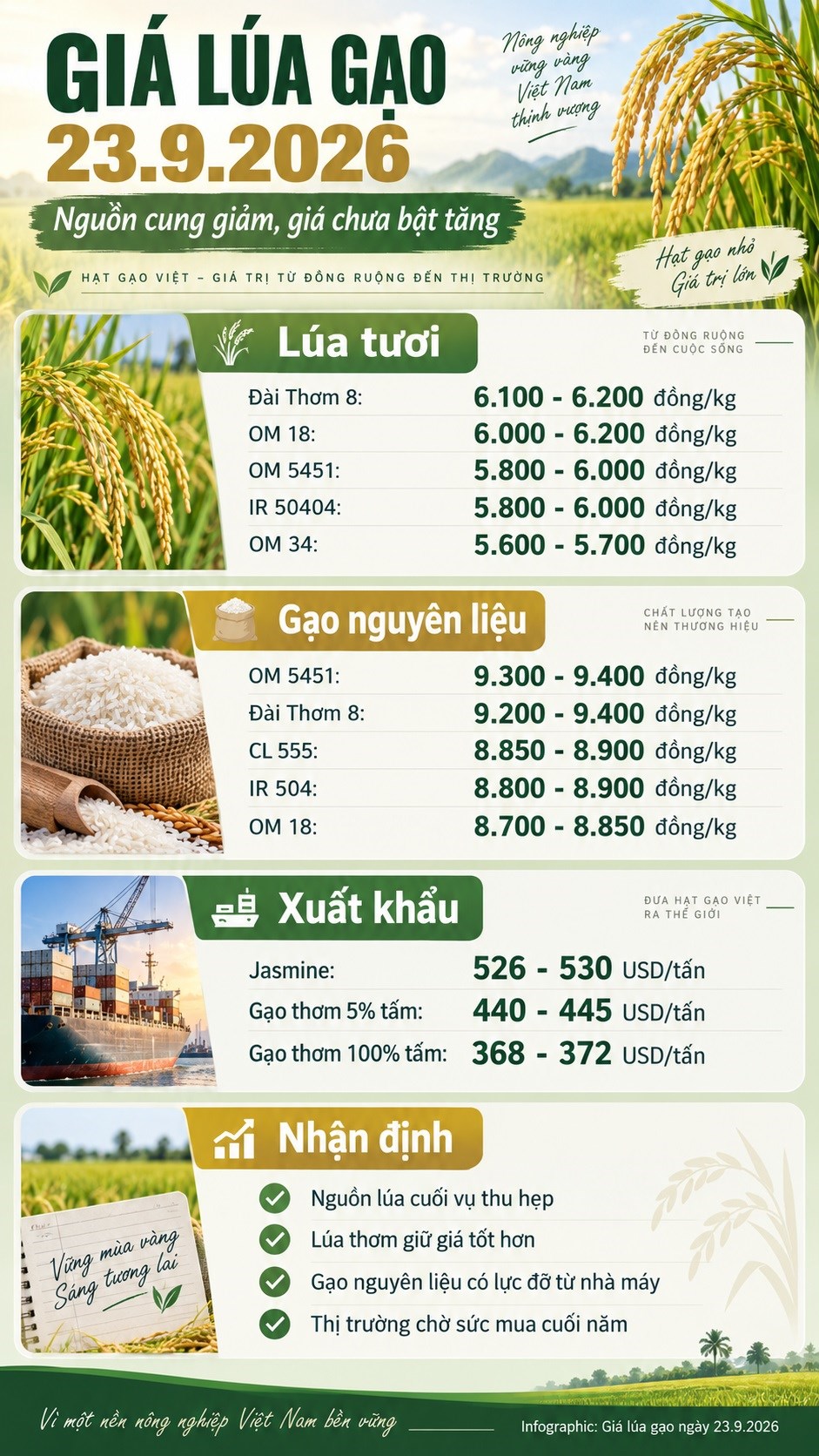 Giá lúa gạo hôm nay 23.9.2026: Gạo nguyên liệu giữ giá tốt hơn - ảnh 3