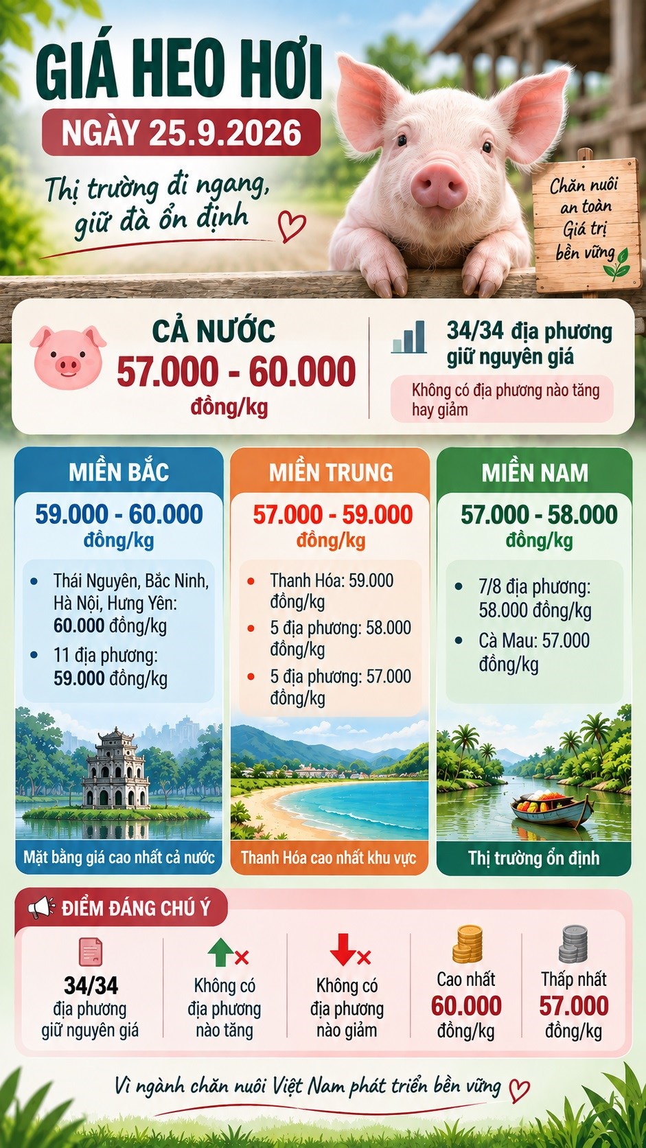 Giá heo hơi hôm nay 25.9.2026: Thị trường chưa có biến động mới - ảnh 3