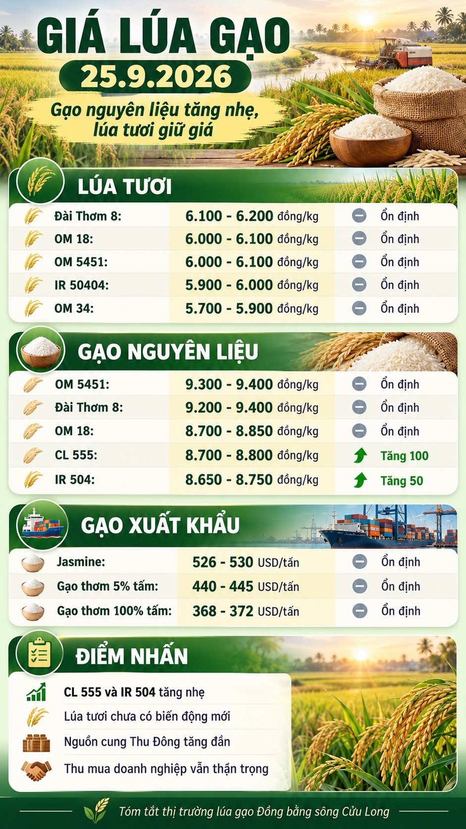 Giá lúa gạo hôm nay 25.9.2026: Gạo nguyên liệu xuất hiện tín hiệu mới - ảnh 3