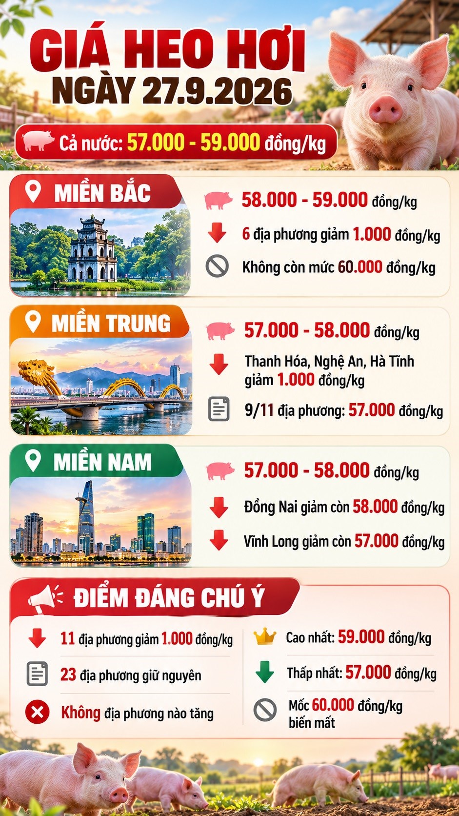 Giá heo hơi hôm nay 27.9.2026: Áp lực giảm lan rộng cả ba miền - ảnh 3
