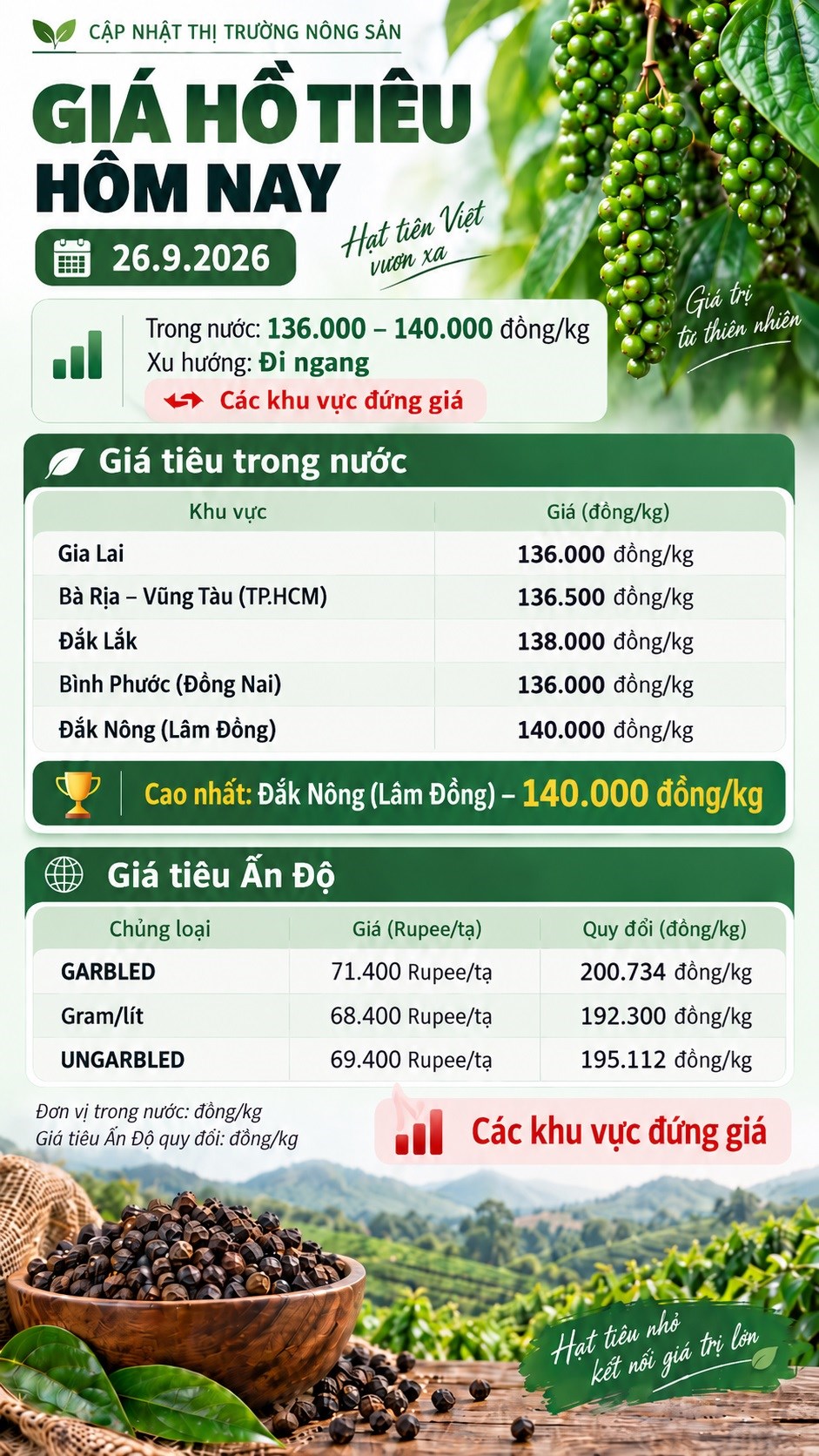 Giá hồ tiêu hôm nay 26.9.2026: Dao động 136.000–140.000 đồng/kg - ảnh 3