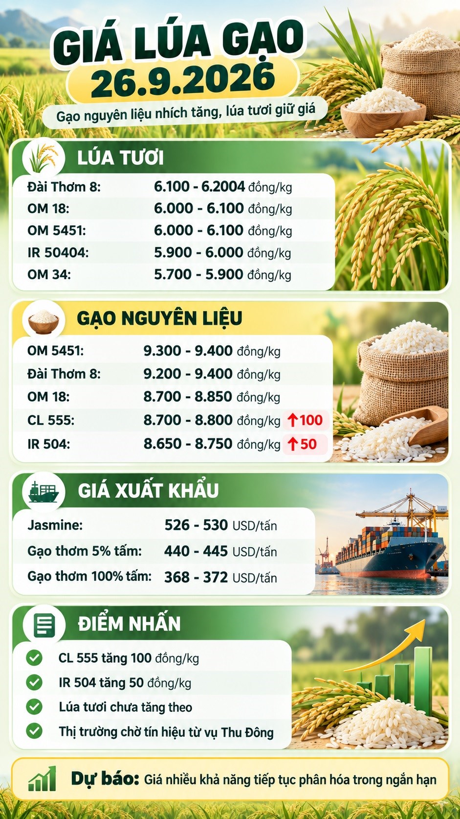 Giá lúa gạo hôm nay 26.9: Gạo nguyên liệu phát tín hiệu tích cực - ảnh 3