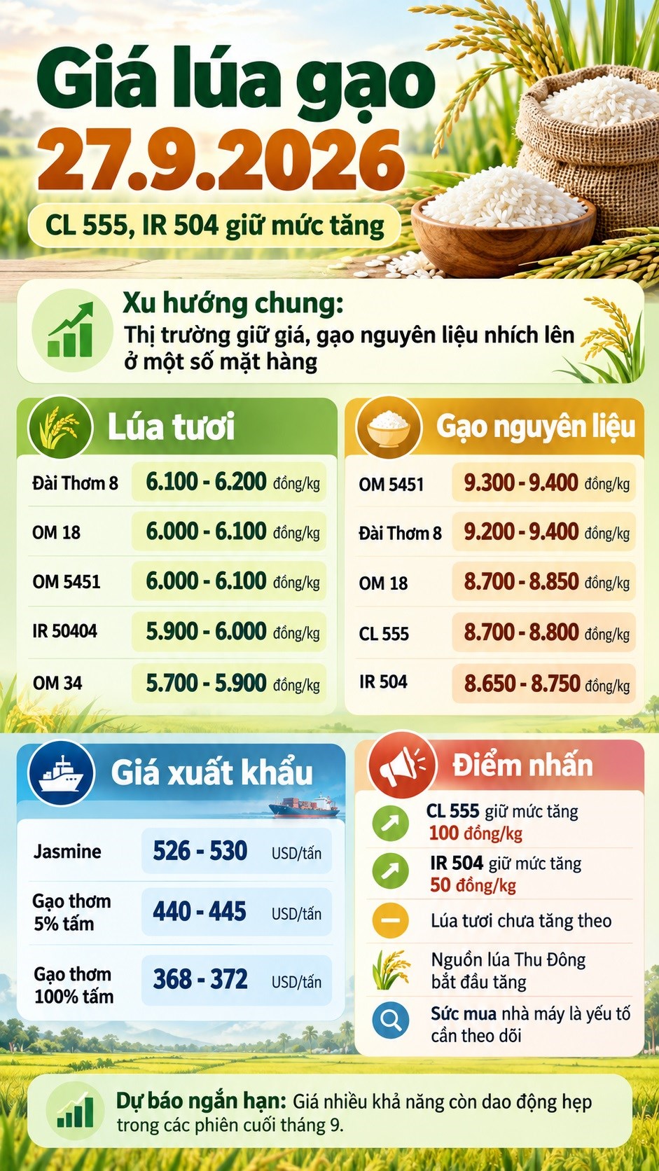 Giá lúa gạo hôm nay 27.9.2026: IR 504 giữ mức tăng, lúa chưa nhích - ảnh 3