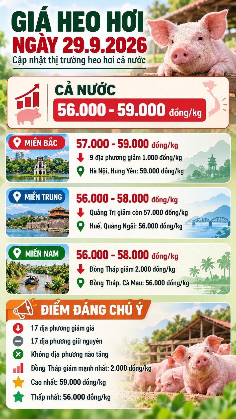 Giá heo hơi hôm nay 29.9.2026: Đà giảm lan rộng cả ba miền - ảnh 3