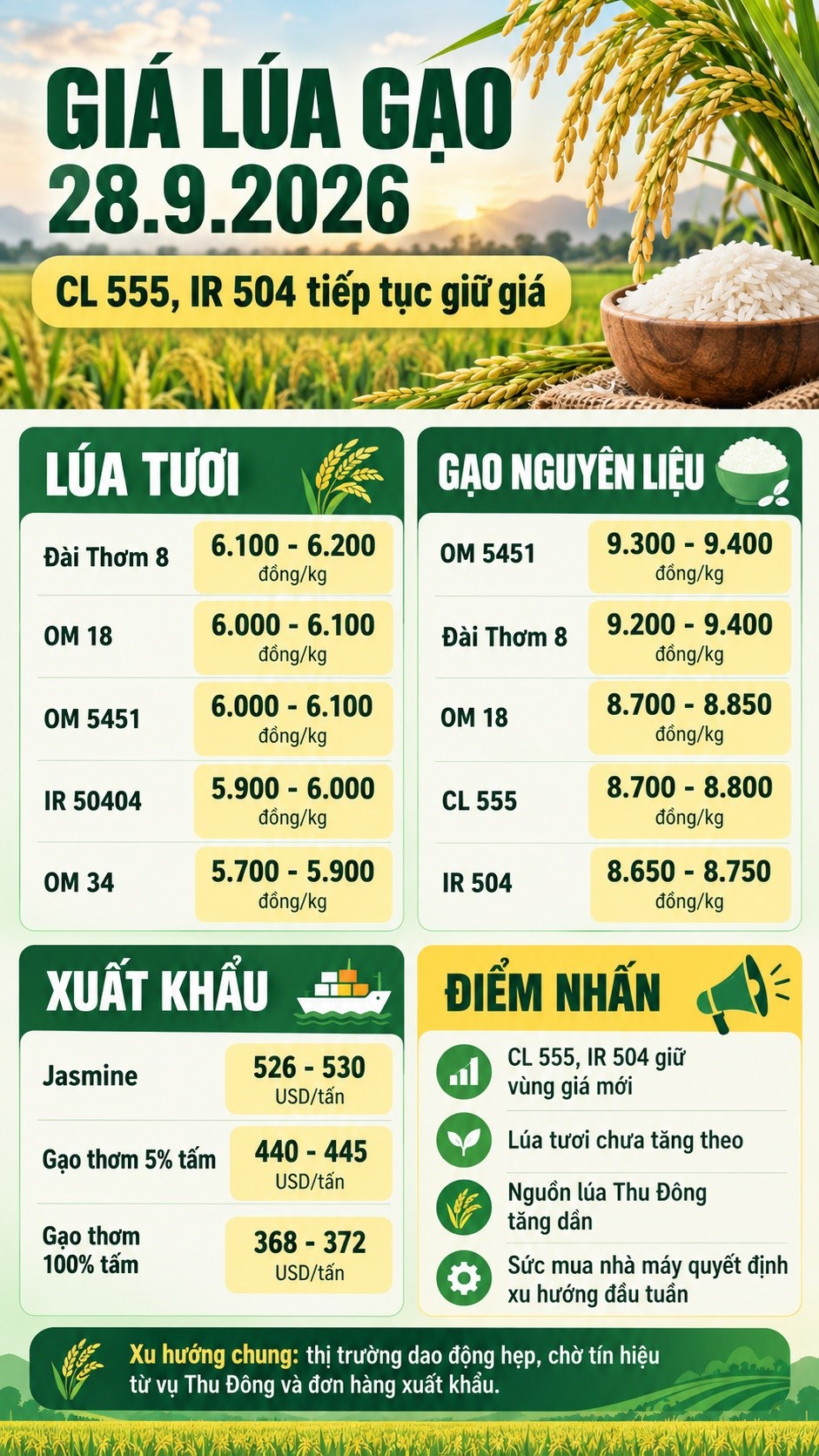 Giá lúa gạo hôm nay 28.9.2026: Thị trường chờ nguồn lúa Thu Đông - ảnh 3