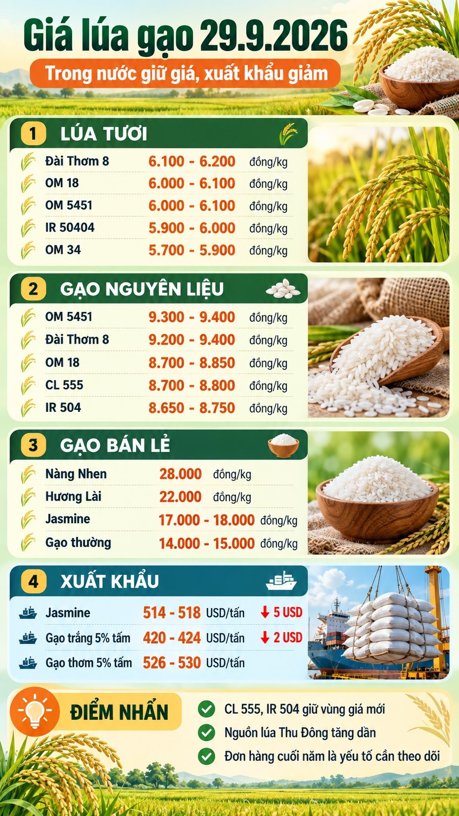 Giá lúa gạo hôm nay 29.9.2026: CL 555 giữ giá, xuất khẩu chịu sức ép - ảnh 3