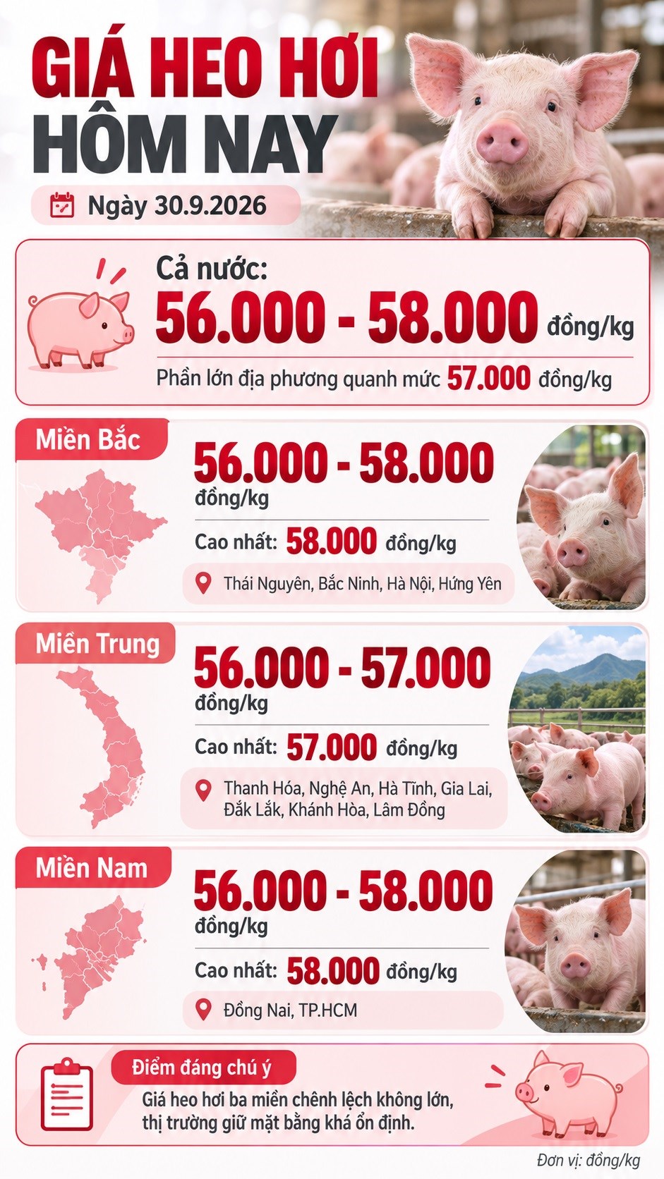 Giá heo hơi hôm nay 30.9.2026: Ba miền dao động 56.000 - 58.000 đồng/kg - ảnh 3