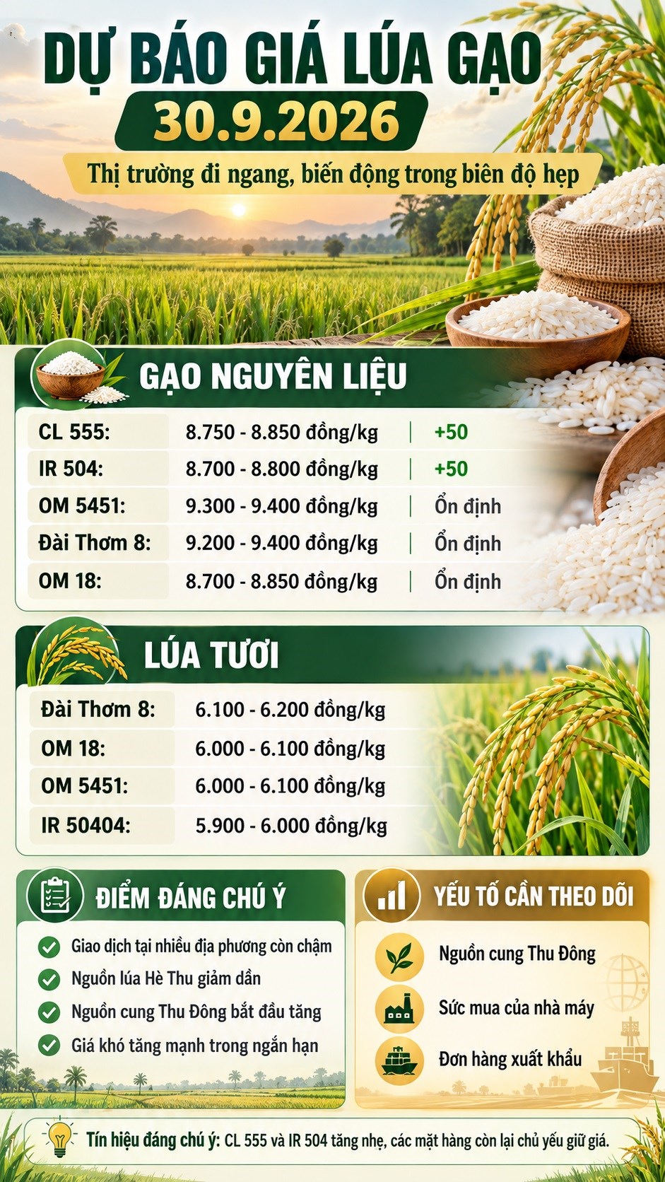 Giá lúa gạo hôm nay 30.9.2026: Hai loại gạo nguyên liệu nhích giá - ảnh 3