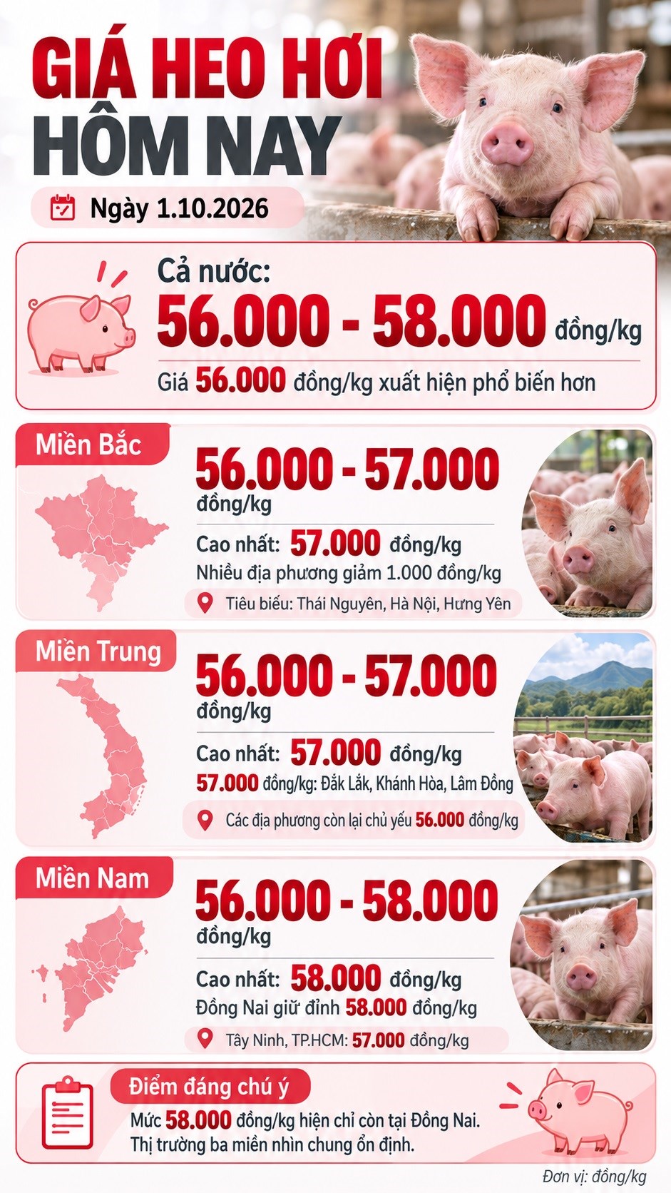 Giá heo hơi hôm nay 1.10.2026: Nhiều nơi giảm 1.000 đồng/kg - ảnh 3