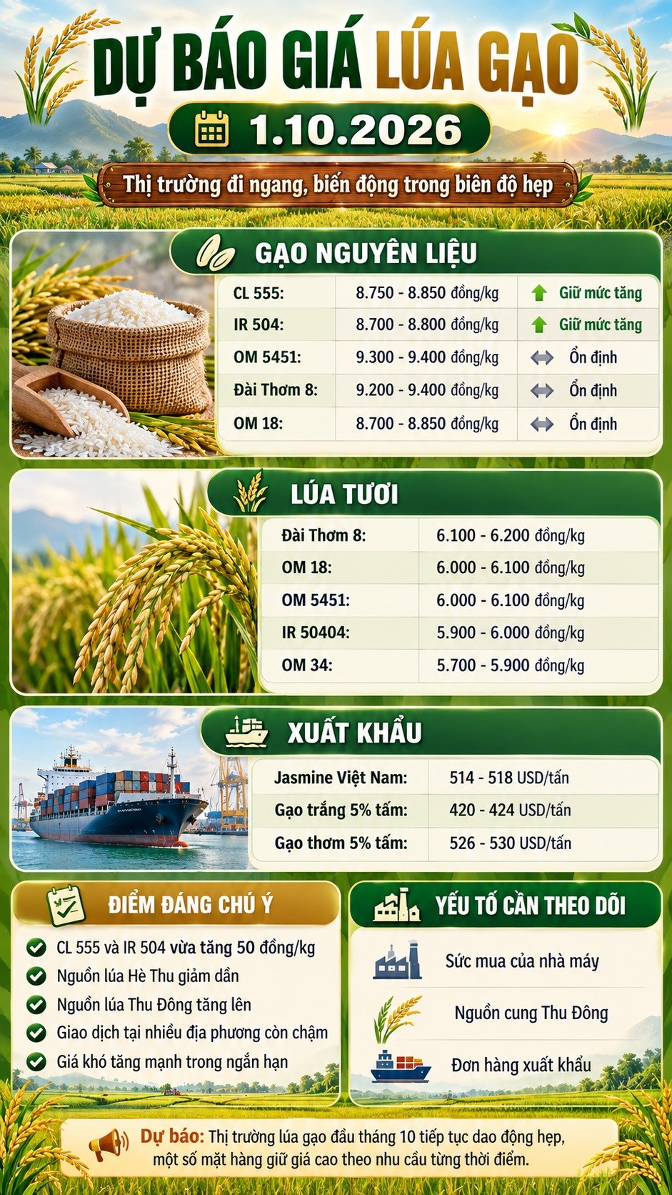 Giá lúa gạo hôm nay 1.10.2026: CL 555, IR 504 có giữ đà tăng? - ảnh 3