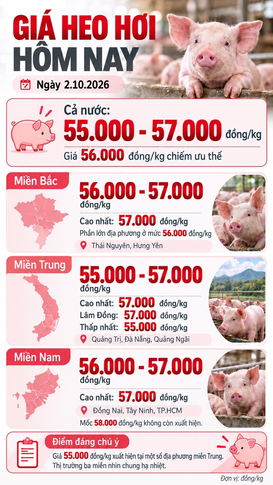 Giá heo hơi hôm nay 2.10.2026: Mặt bằng giá tiếp tục hạ nhiệt - ảnh 3
