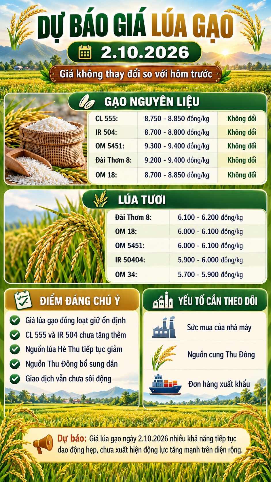 Giá lúa gạo hôm nay 2.10.2026: Nguồn cung ổn định, giá khó bật mạnh - ảnh 3