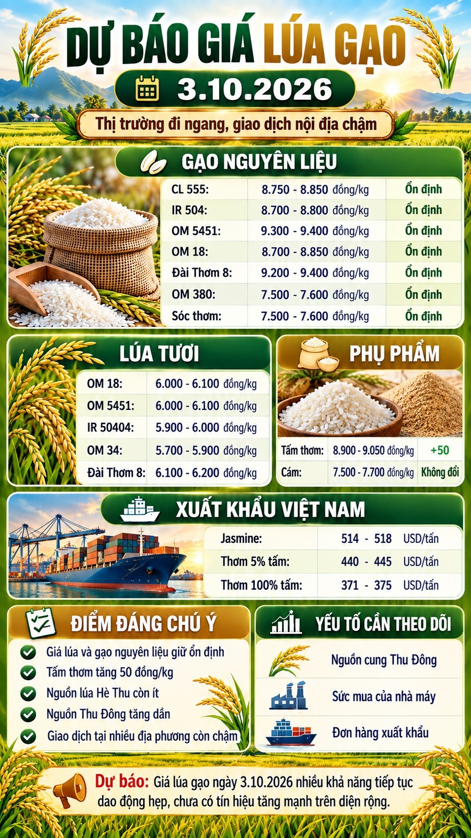 Giá lúa gạo hôm nay 3.10.2026: Thị trường tiếp tục đi ngang - ảnh 3