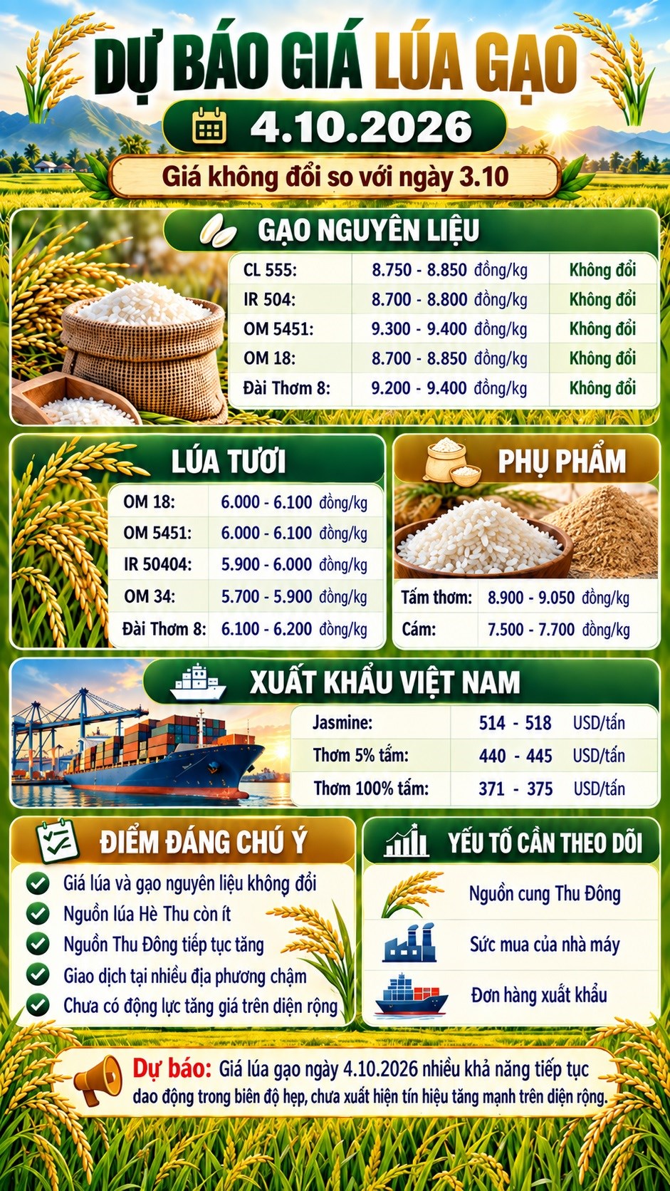 Giá lúa gạo hôm nay 4.10.2026: Chưa có tín hiệu tăng mới - ảnh 3