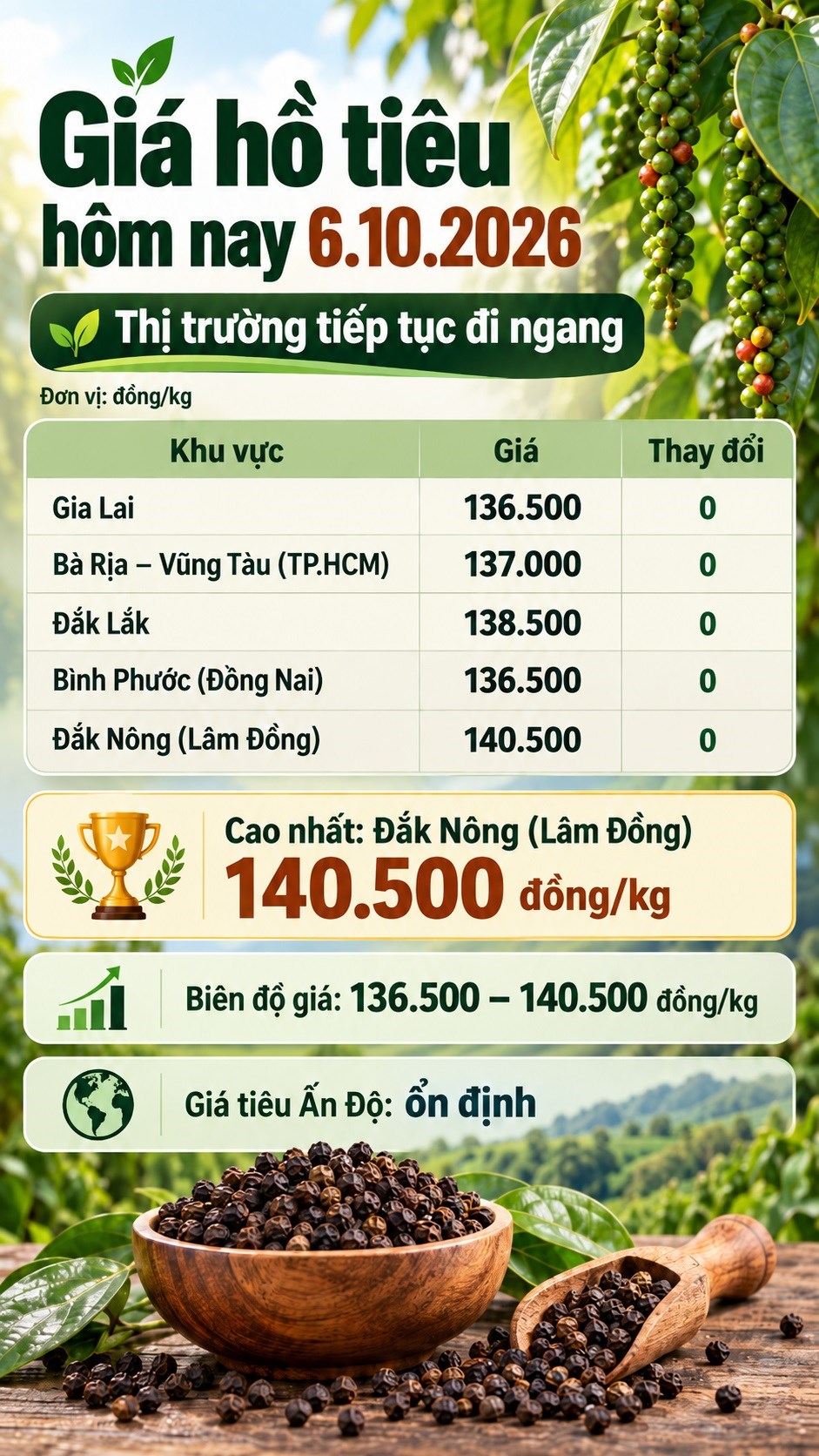 Giá hồ tiêu hôm nay 6.10.2026: Thị trường tiếp tục đi ngang - ảnh 3