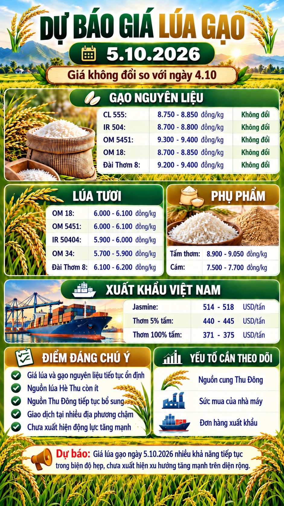 Giá lúa gạo hôm nay 5.10.2026: Chưa xuất hiện nhịp tăng mới - ảnh 3