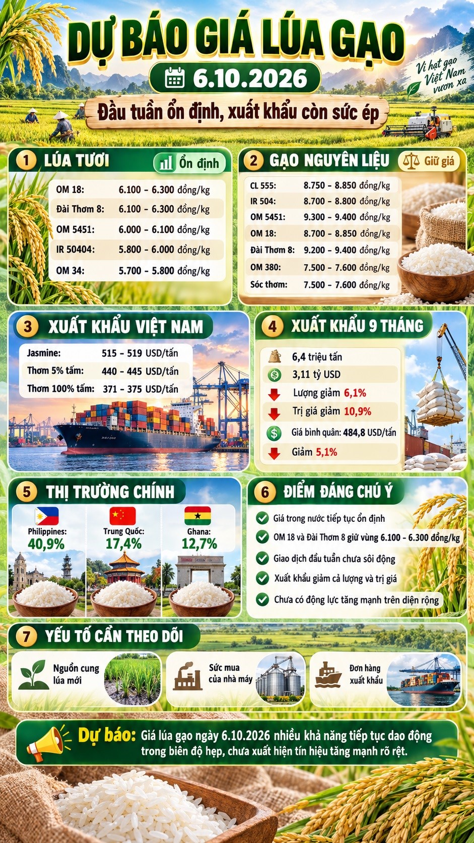 Giá lúa gạo hôm nay 6.10.2026: Thị trường đầu tuần giữ ổn định - ảnh 3