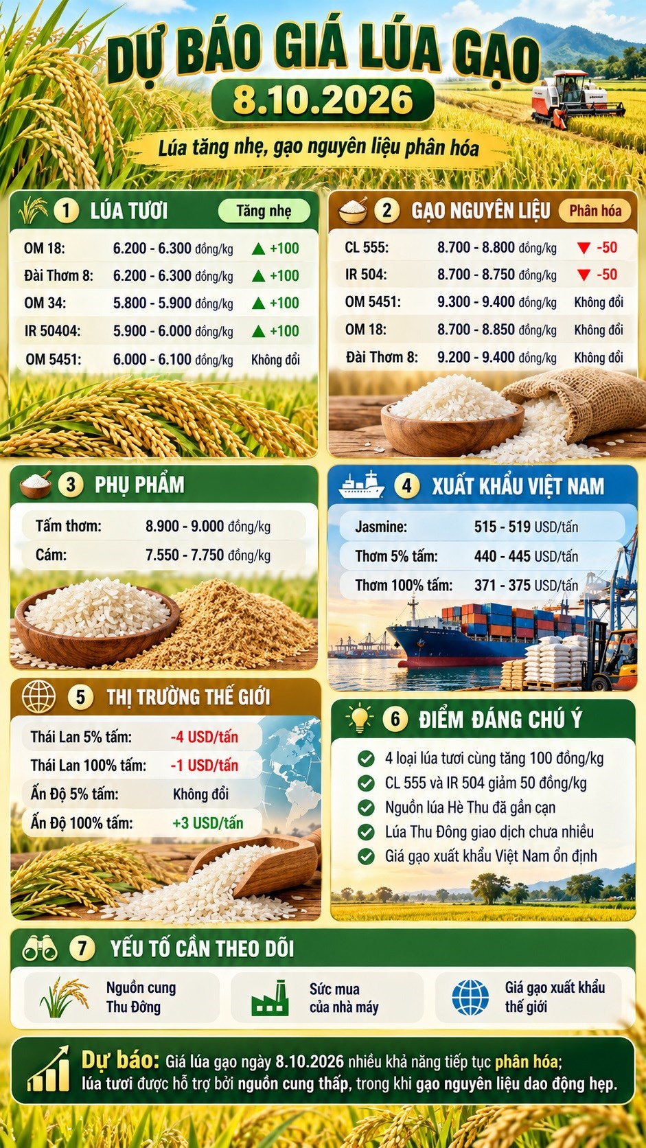 Giá lúa gạo hôm nay 8.10.2026: Lúa tăng, gạo nguyên liệu giảm nhẹ - ảnh 3