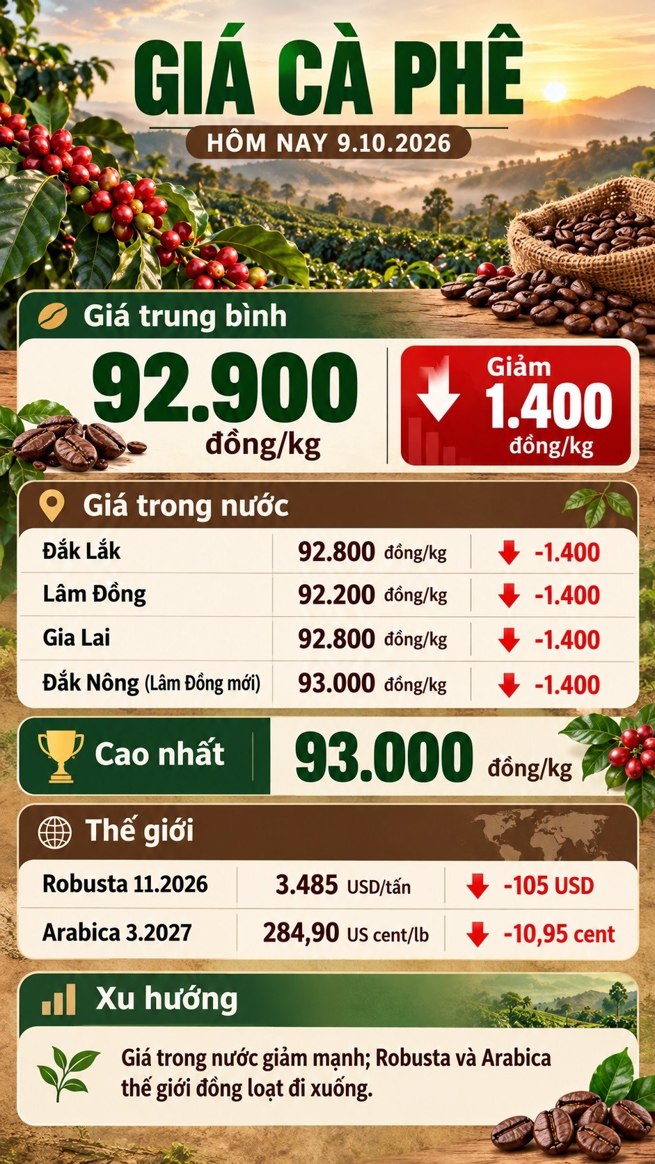 Giá cà phê hôm nay 9.10 lao dốc, Tây Nguyên đồng loạt mất 1.400 đồng/kg - ảnh 3