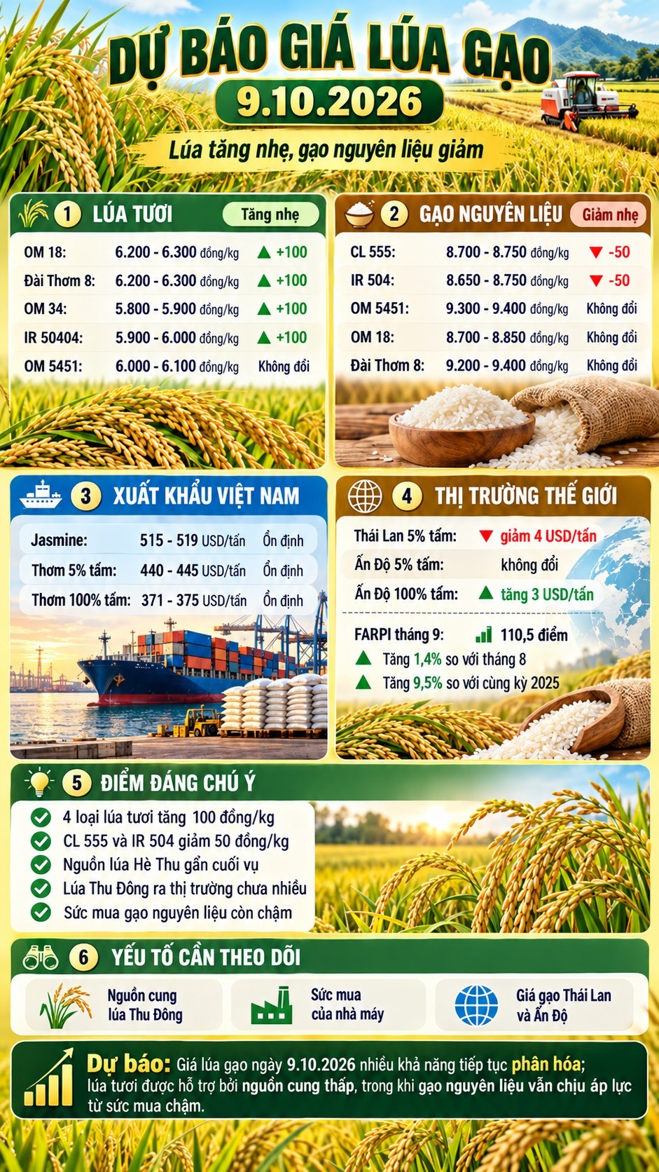 Giá lúa gạo hôm nay 9.10.2026: Lúa tăng, gạo nguyên liệu tiếp tục giảm - ảnh 3