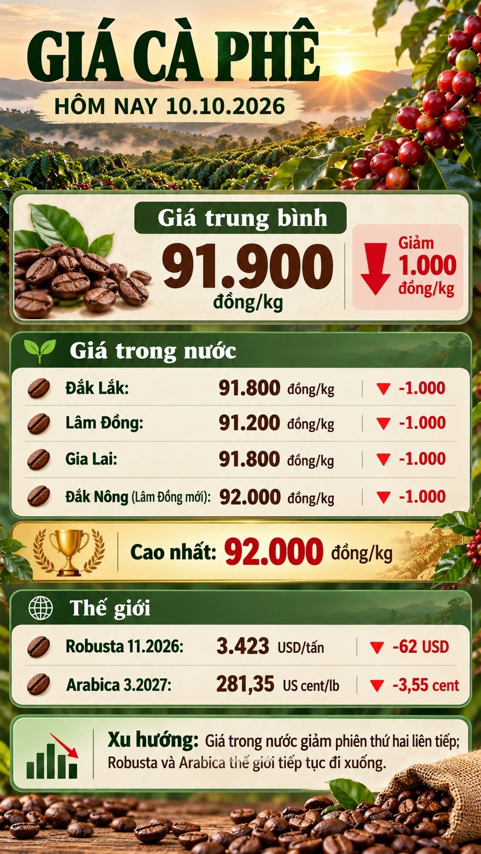 Giá cà phê hôm nay 10.10: Trong nước mất thêm 1.000 đồng/kg - ảnh 3