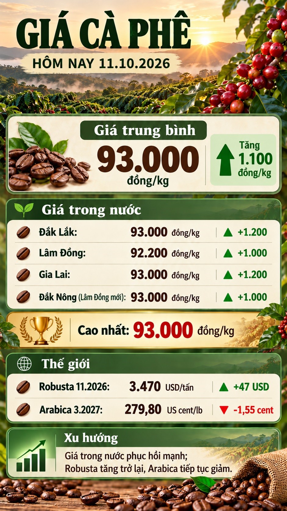 Giá cà phê hôm nay 11.10 tăng mạnh trở lại, nhiều vùng lên 93.000 đồng/kg - ảnh 3