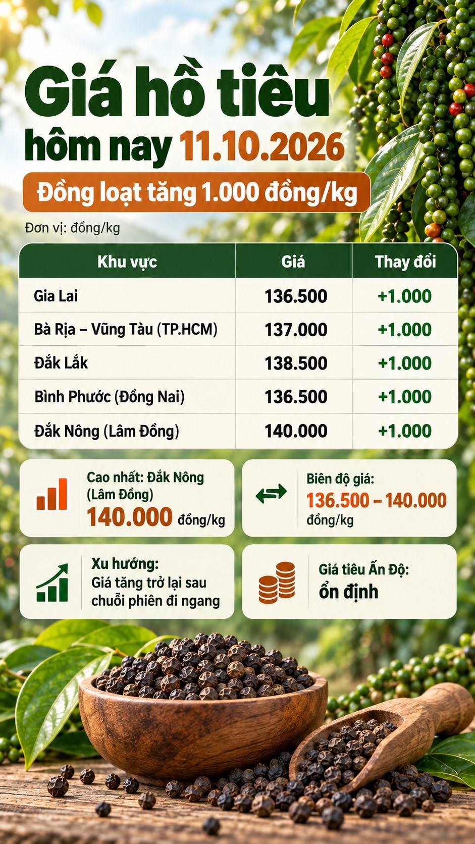 Giá hồ tiêu hôm nay 11.10.2026: Đồng loạt tăng 1.000 đồng/kg - ảnh 3