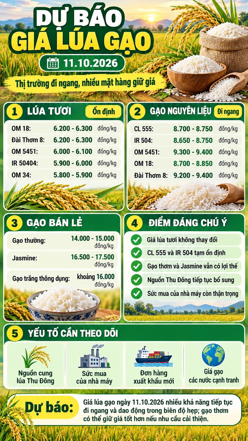 Giá lúa gạo hôm nay 11.10.2026: Chưa có động lực tăng mới - ảnh 3