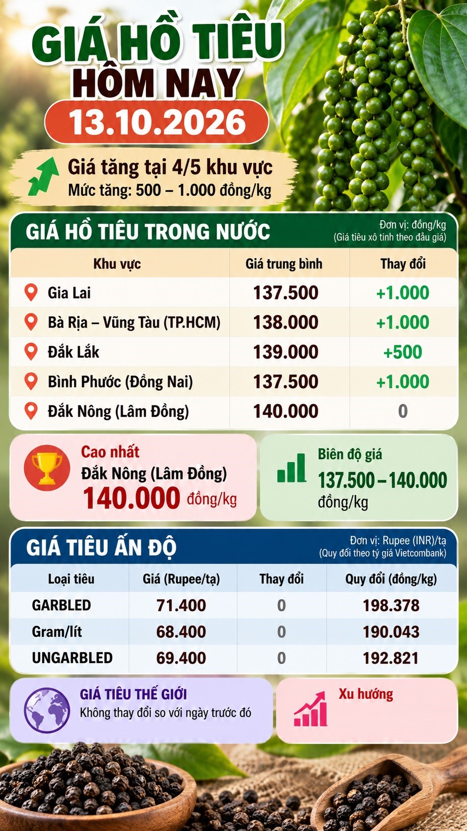 Giá hồ tiêu hôm nay 13.10.2026: Nhiều nơi tăng tới 1.000 đồng/kg - ảnh 3