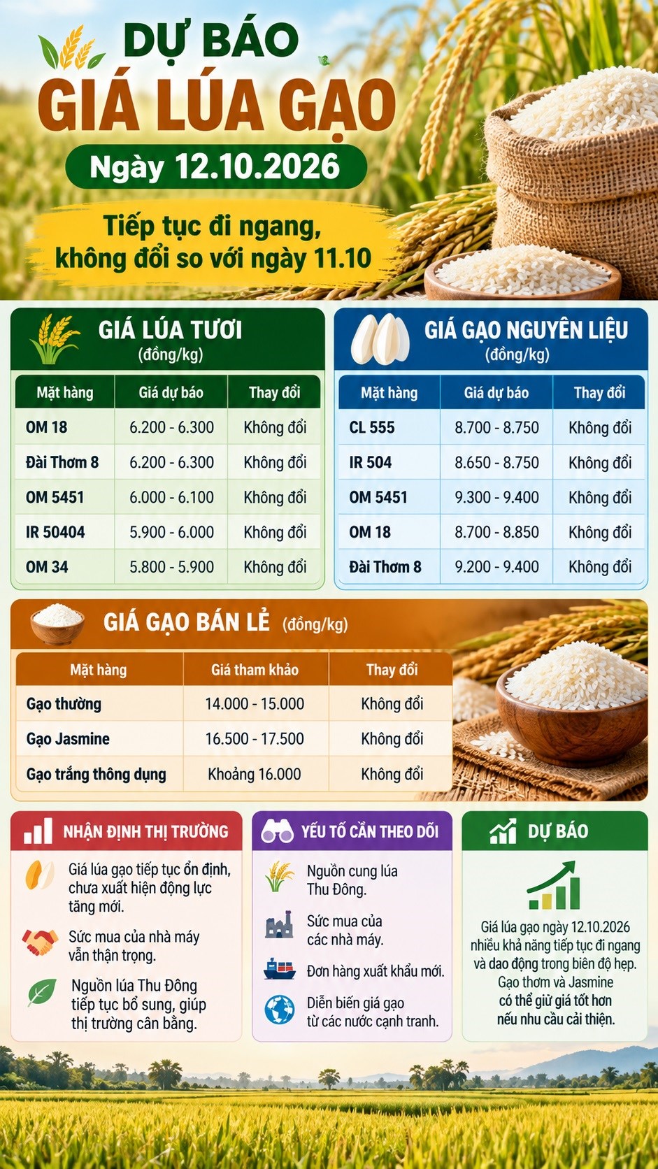 Giá lúa gạo hôm nay 12.10: Chưa xuất hiện động lực tăng mới - ảnh 3