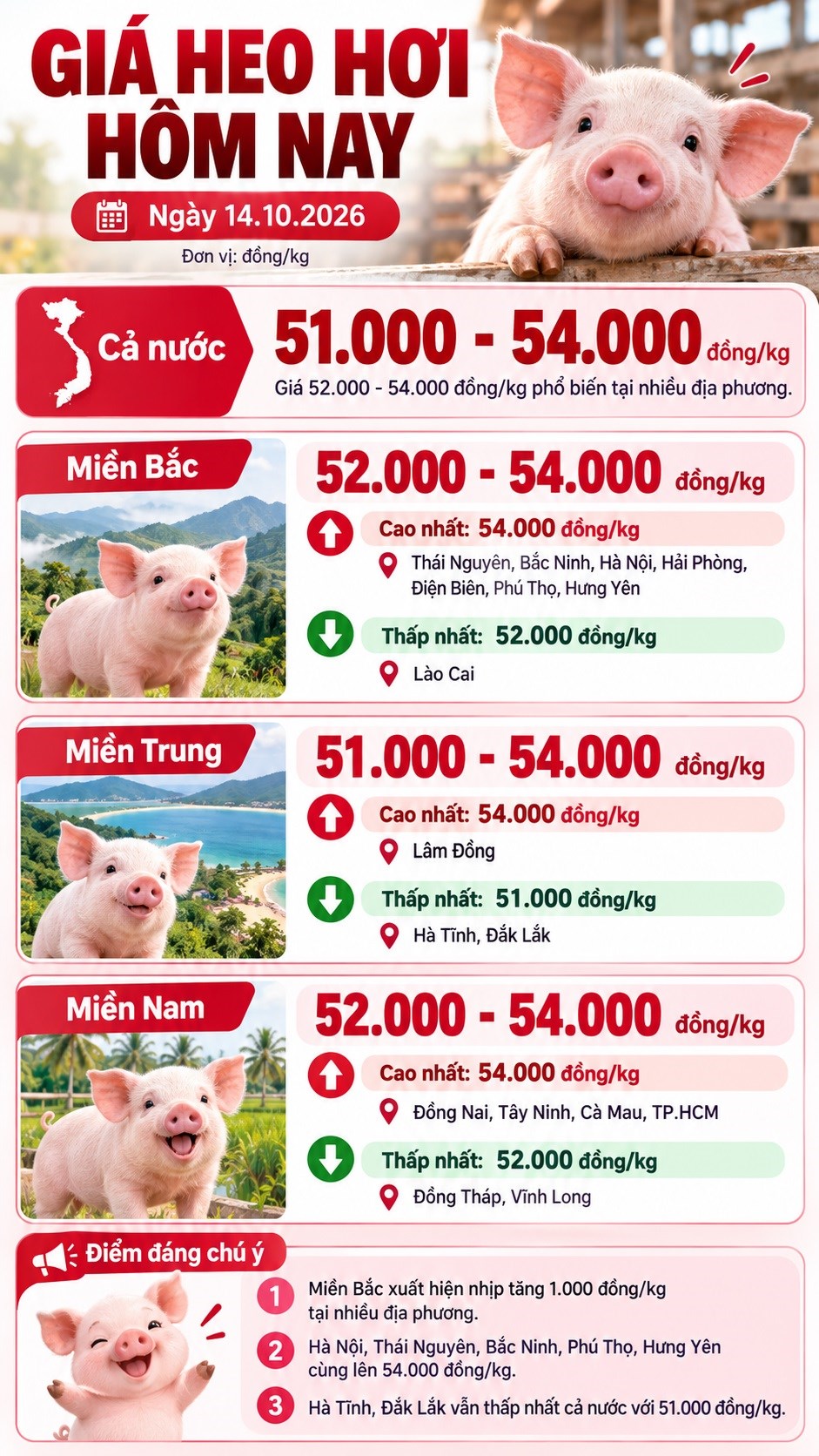 Giá heo hơi hôm nay 14.10: Nhiều tỉnh miền Bắc lên 54.000 đồng/kg - ảnh 3