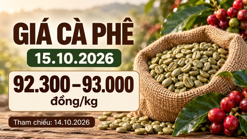 Giá cà phê hôm nay 15.10.2026: Chờ tín hiệu từ sàn London - ảnh 1