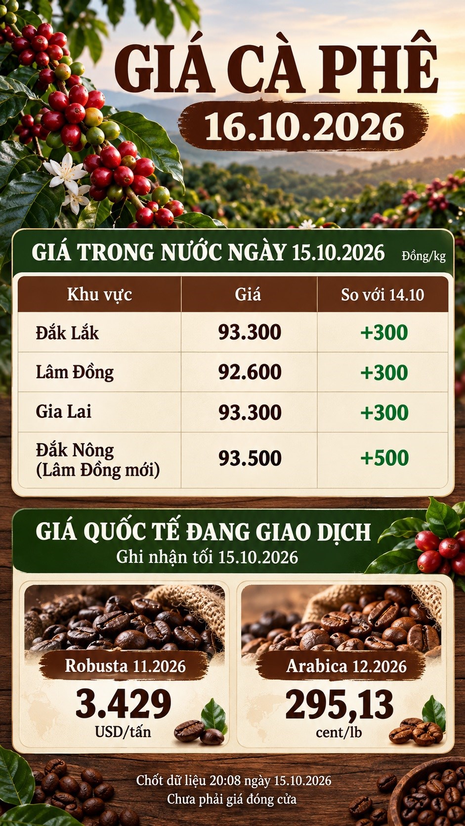 Giá cà phê hôm nay 16.10.2026: Đà tăng trong nước có tiếp diễn? - ảnh 3