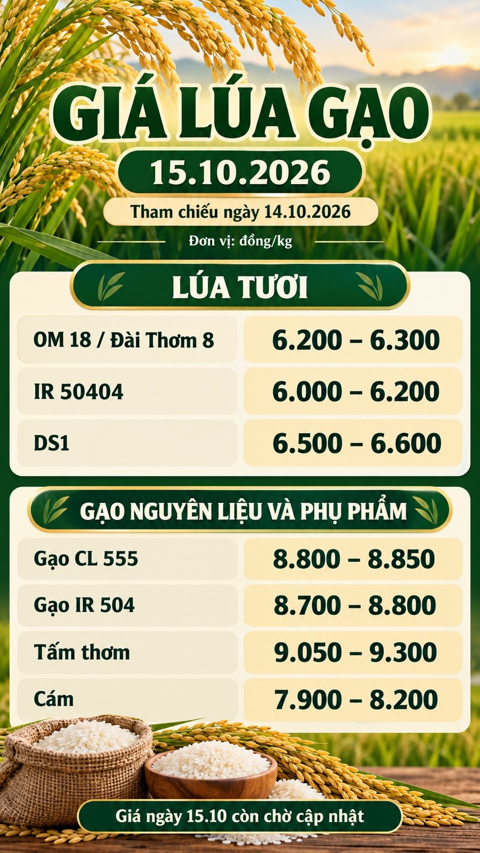 Giá lúa gạo hôm nay 15.10.2026: Gạo CL555 ở mức 8.800–8.850 đồng/kg - ảnh 3