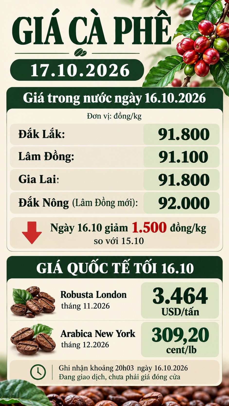 Giá cà phê hôm nay 17.10.2026: Robusta tăng trở lại - ảnh 3