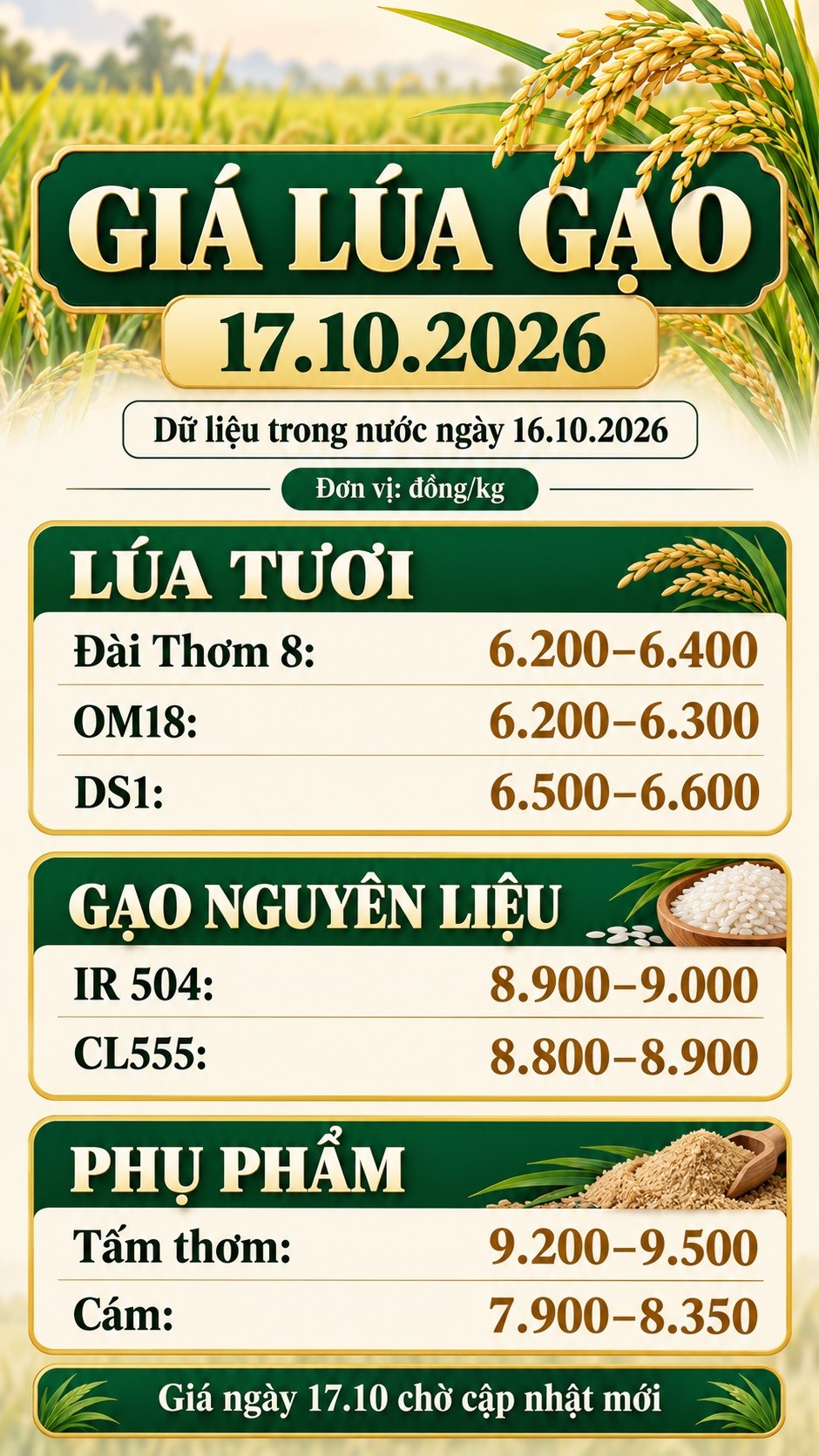 Giá lúa gạo hôm nay 17.10.2026: Sức mua quyết định nhịp mới - ảnh 3