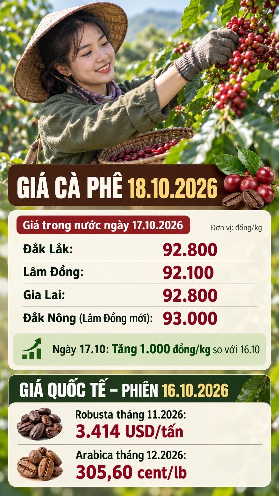 Giá cà phê hôm nay 18.10.2026: Robusta và Arabica cùng hỗ trợ - ảnh 3