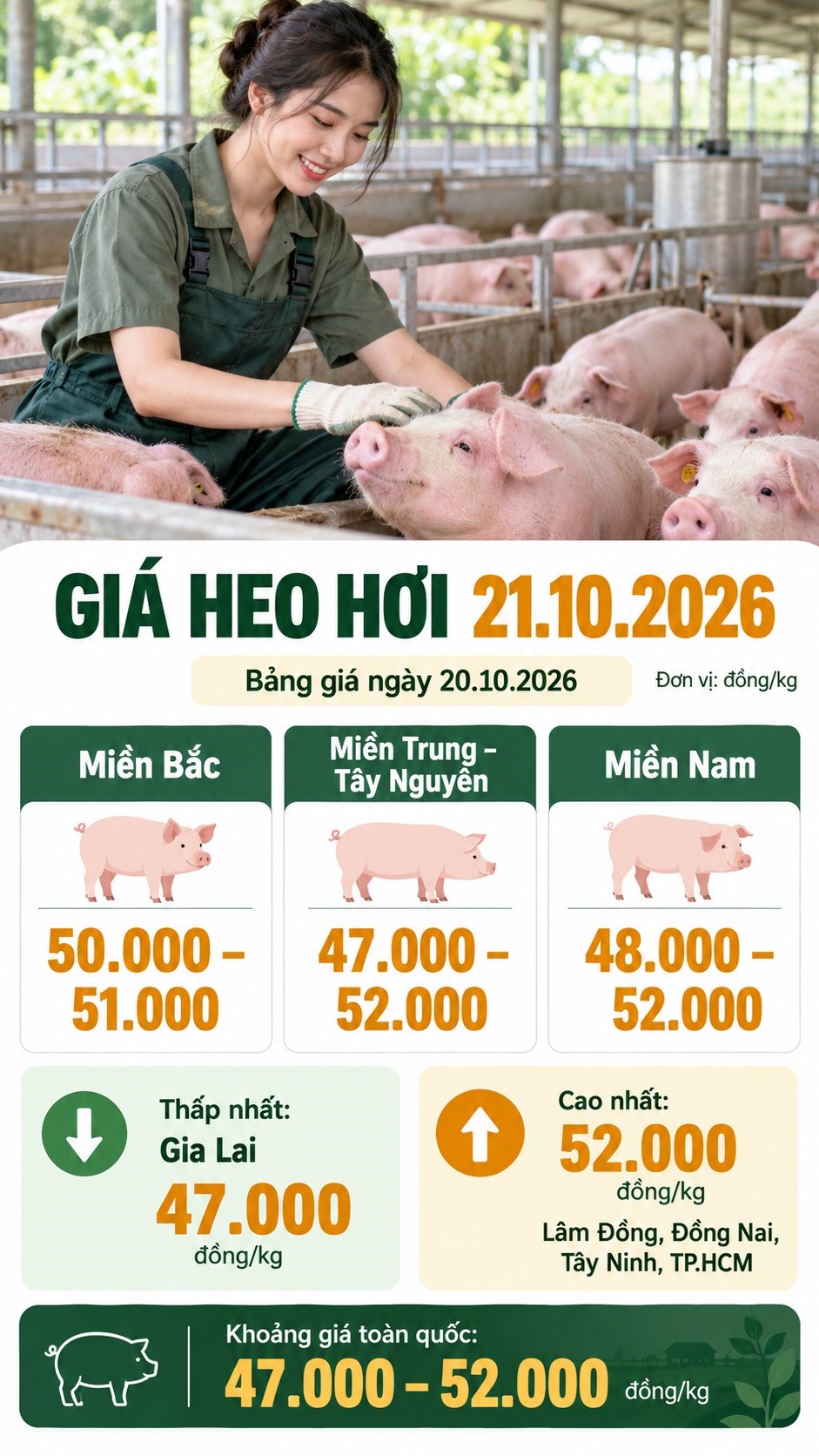 Giá heo hơi hôm nay 21.10.2026: Chờ điểm dừng sau phiên giảm mạnh - ảnh 3